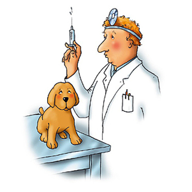 Vacinazione labrador